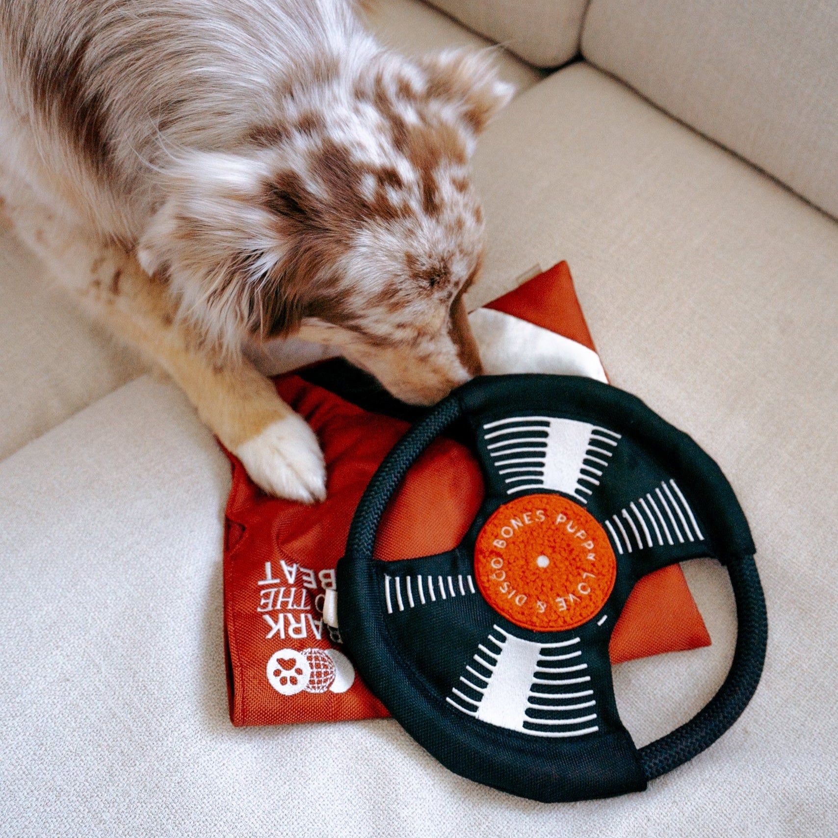Bark To Beat